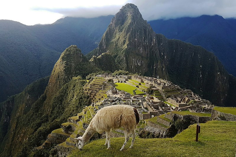 2026 Amazon Cruise and Machu Picchu Expedition