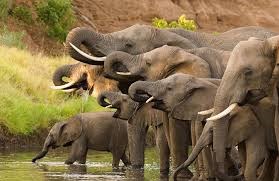 2027 Journey Into Africa